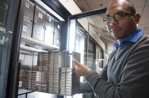Krishna Veeramah handles a sample of stored DNA at the UA Genetics Core, housed at the UA's BIO5 Institute. This facility specializes in high-throughput DNA processing and sequencing. (Photo by Patrick McArdle/UANews) Krishna Veeramah handles a sample of stored DNA at the UA Genetics Core, housed at the UA's BIO5 Institute. This facility specializes in high-throughput DNA processing and sequencing. (Photo by Patrick McArdle/UANews)